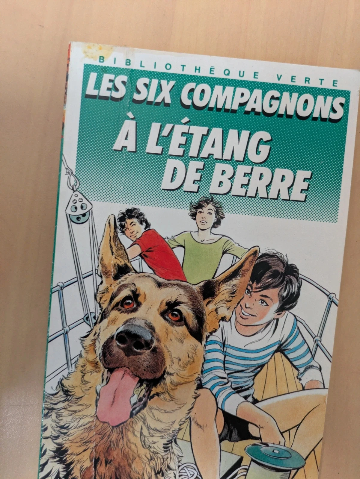 a biblioteca verde os 6 companheiros – photo 10
